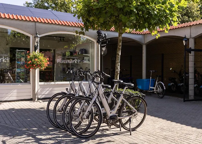 Σπίτι διακοπών Brabant With Sauna *