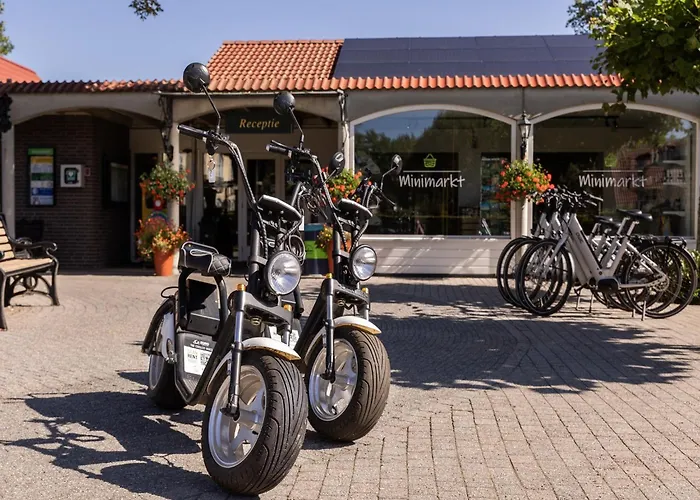 Σπίτι διακοπών Brabant With Sauna Heikant