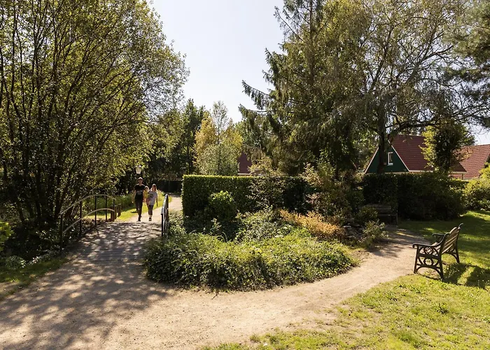 Brabant With Sauna * Heikant